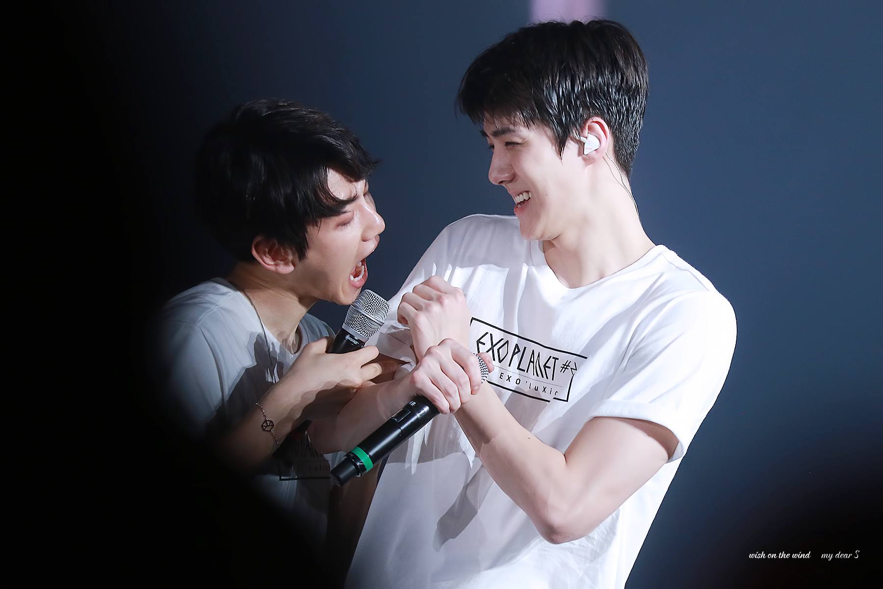 Baekhyun is obsessed with putting his mouth on Sehun Koreaboo
