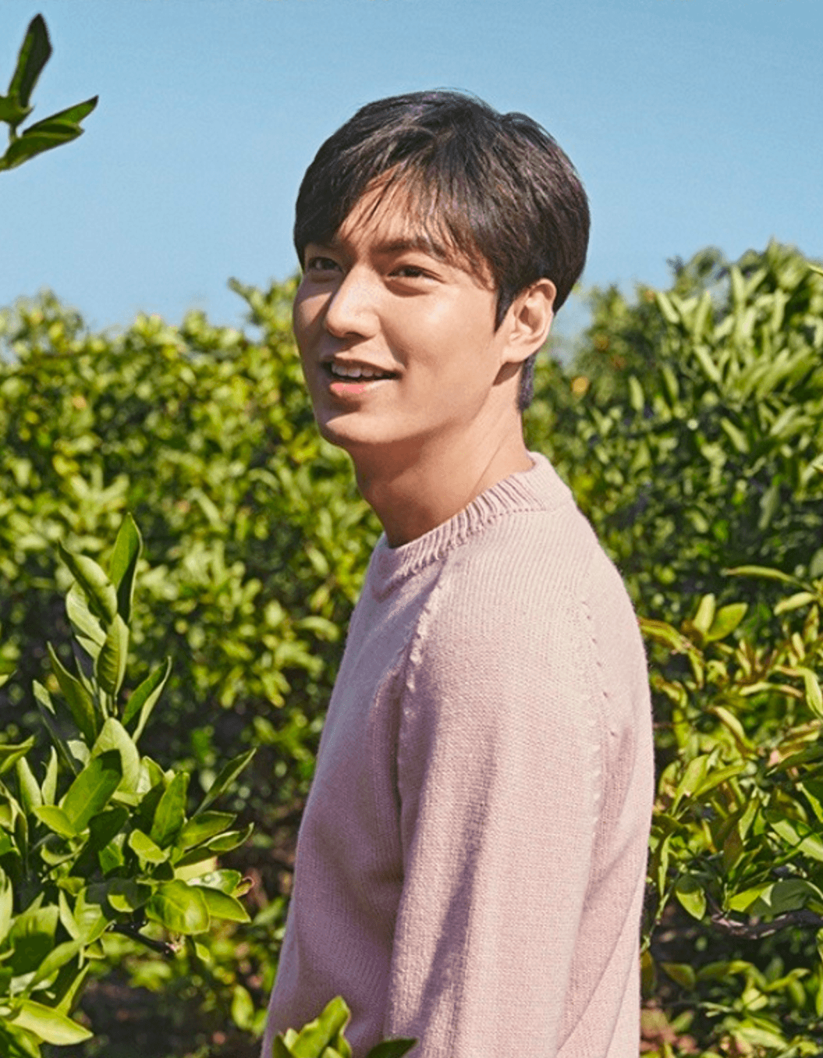 This is Lee Min Ho's latest photoshoot before joining the army - Koreaboo