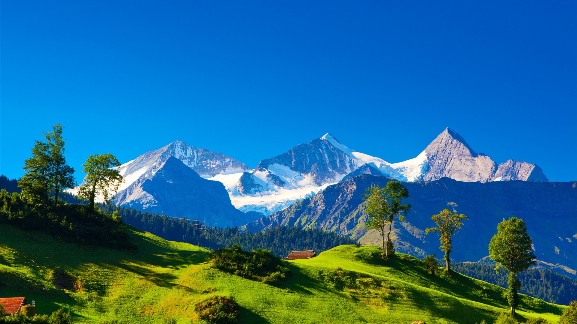 Switzerland Alps mountains green grass trees blue